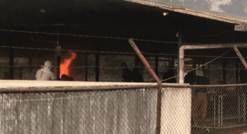 Rebelião em presídio no Pará deixa ao menos 52 detentos mortos